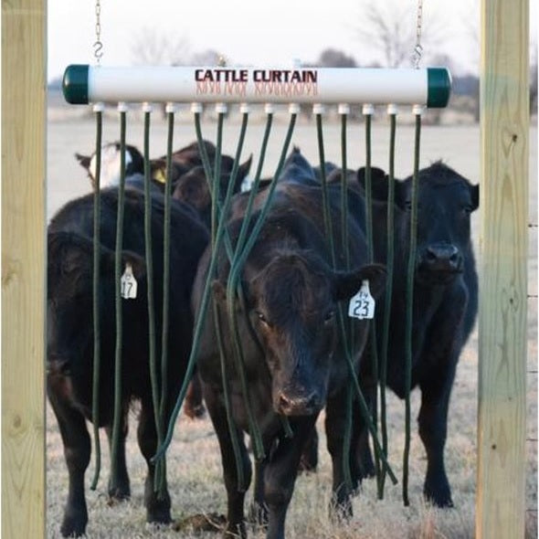 Several black cattle walk through a Scintex Cattle Curtain Back Rub, a well-designed buffalo fly control device featuring hanging flexible rods, as they enter a fenced area. The grassy field and trees can be seen in the background.