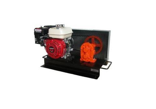 Petrol Engine Gear Pump
