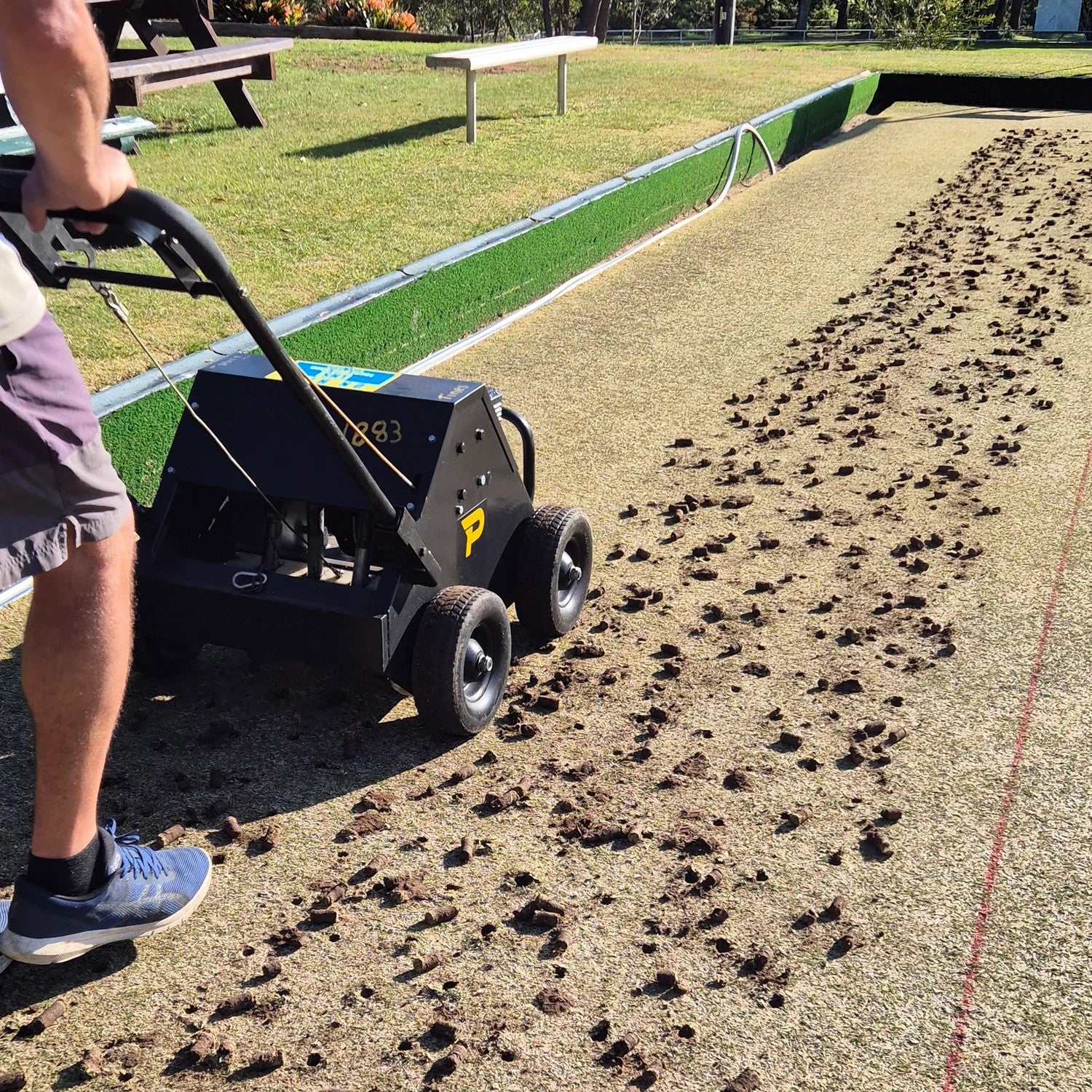 A person uses a Paddock Motorised Lawn Aerator powered by a Honda GX160 engine on a lawn bowling green, removing debris and leaving small clumps of soil on the grass. Benches and greenery are seen in the background.