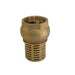 Pump foot valve and strainer brass