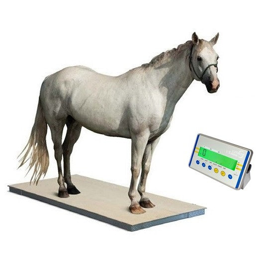 digital horse equine scales